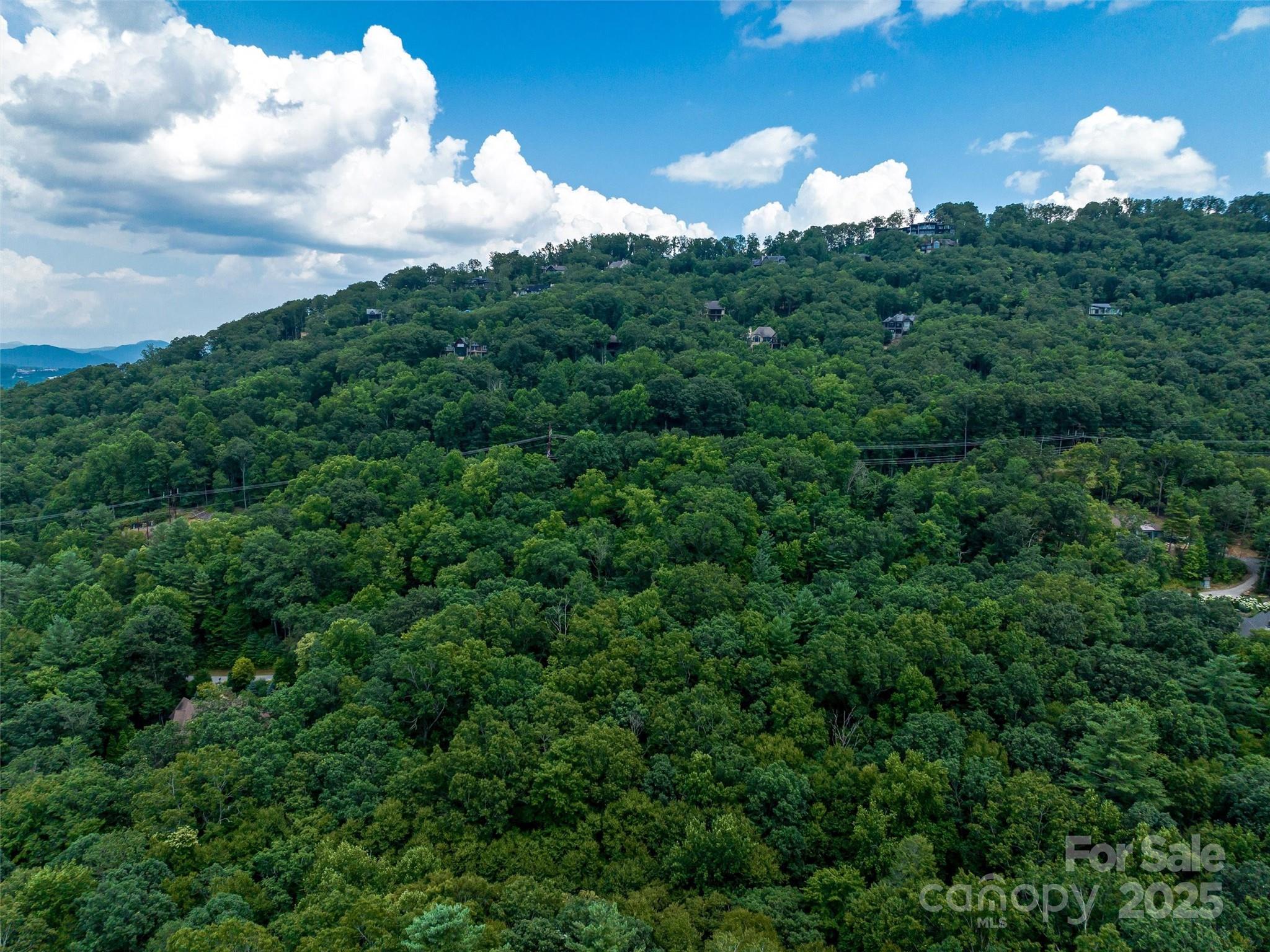 36 Dividing Ridge Trail, Unit 5 Arden, NC 28704 - Photo 10 of 18 a view of a bunch of trees in a field