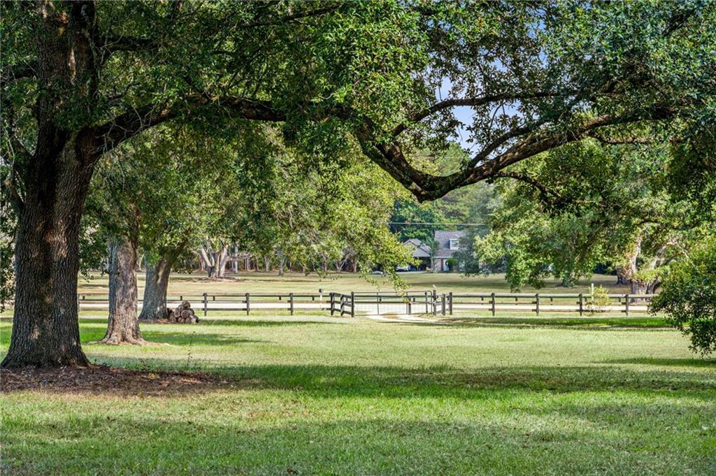 79071 Old Military Road Covington, LA 70435 - Photo 11 of 34