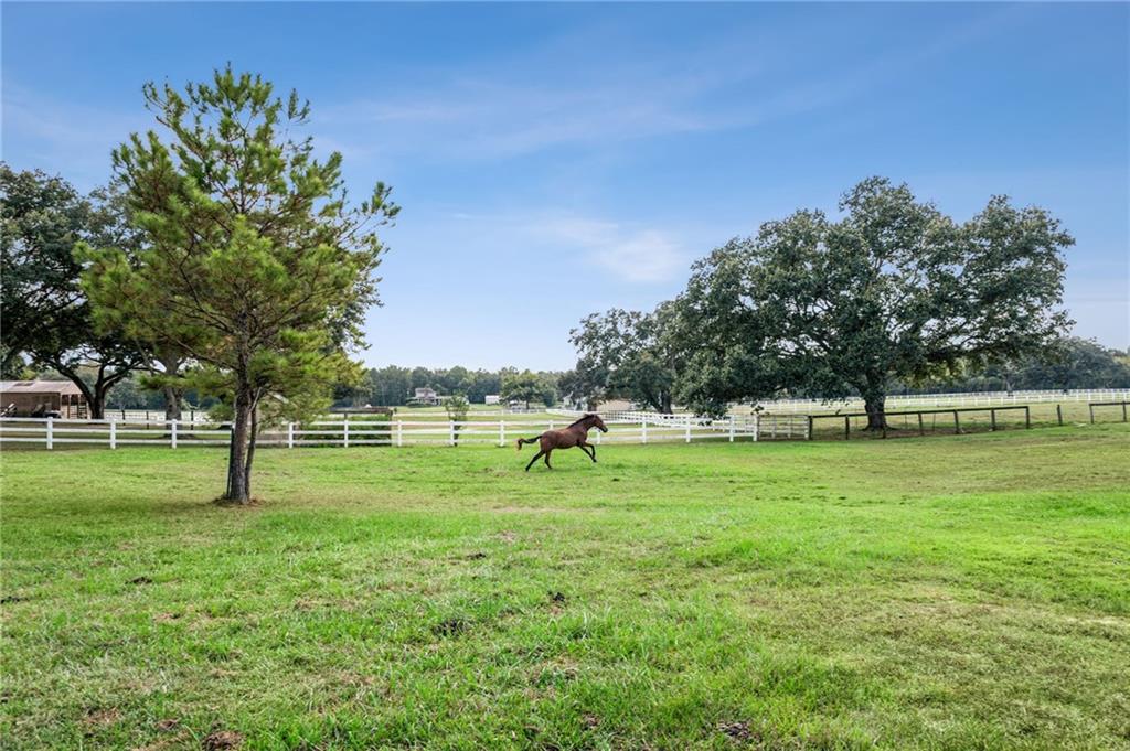 79071 Old Military Road Covington, LA 70435 - Photo 29 of 34