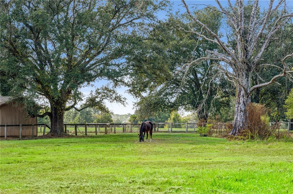 79071 Old Military Road Covington, LA 70435 - Photo 5 of 34