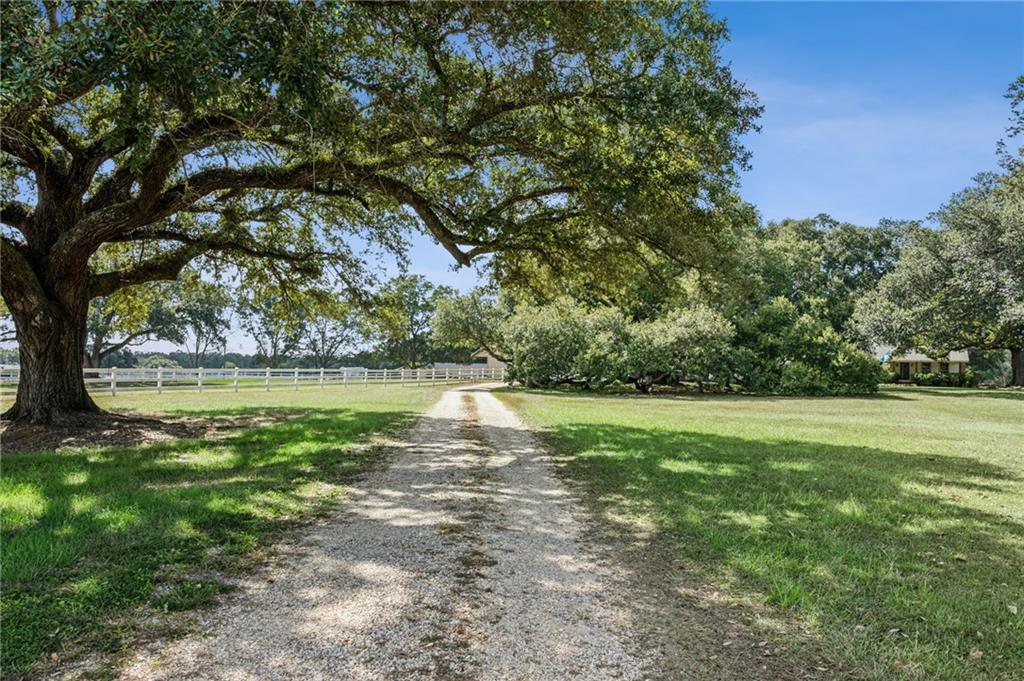 79071 Old Military Road Covington, LA 70435 - Photo 9 of 34