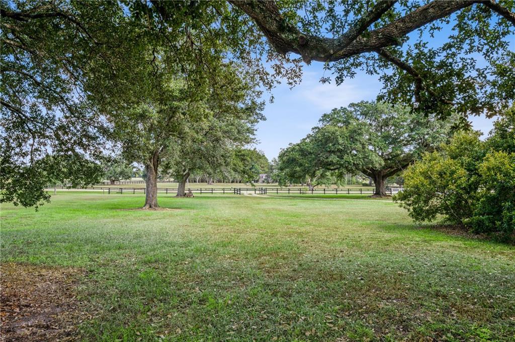 79071 Old Military Road Covington, LA 70435 - Photo 10 of 34