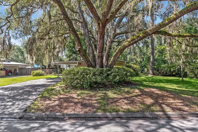a view of a swimming pool with a yard and large trees