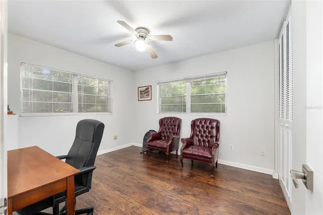 a view of a yard with plants and large trees