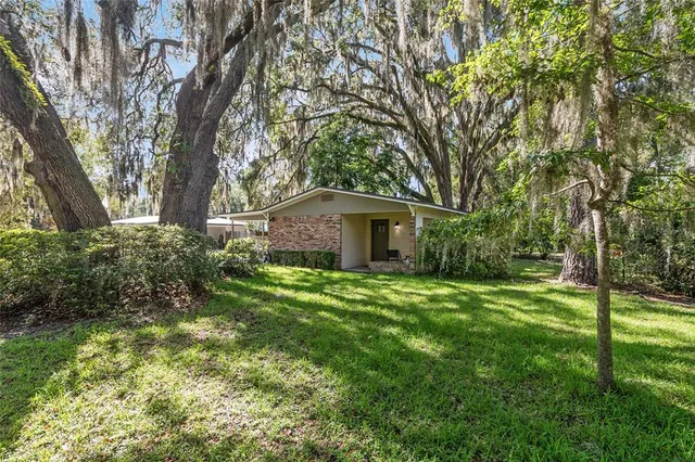 a view of a yard with plants and large trees