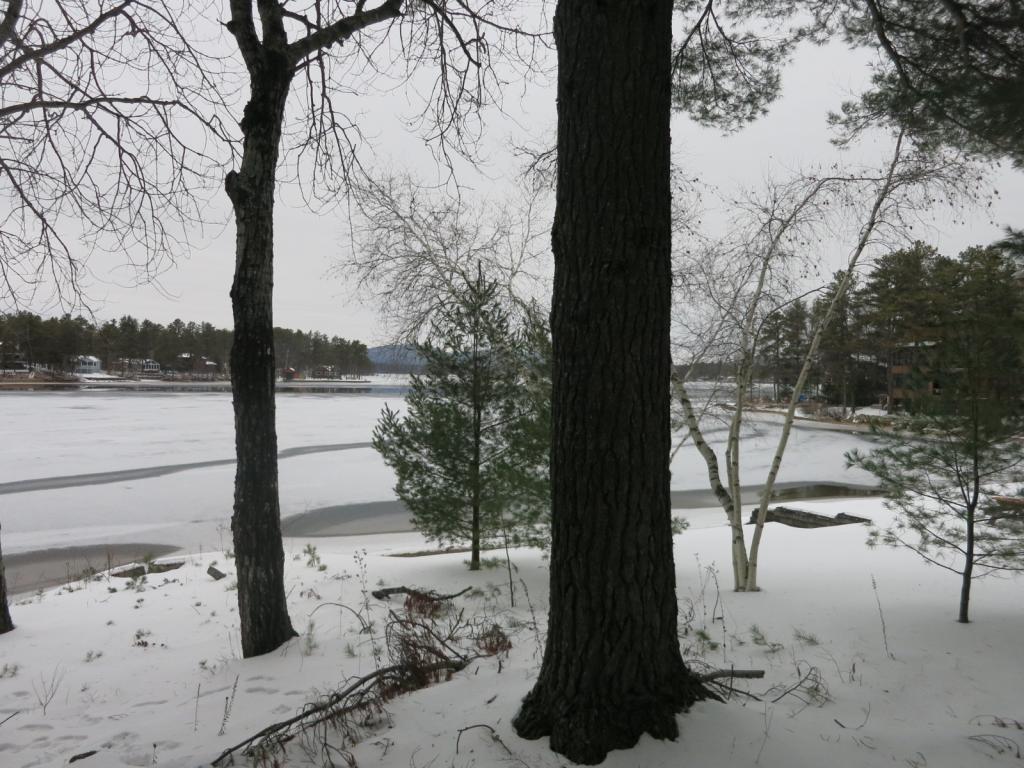 6 Spur Road Ossipee, NH 03814 - Photo 10 of 11