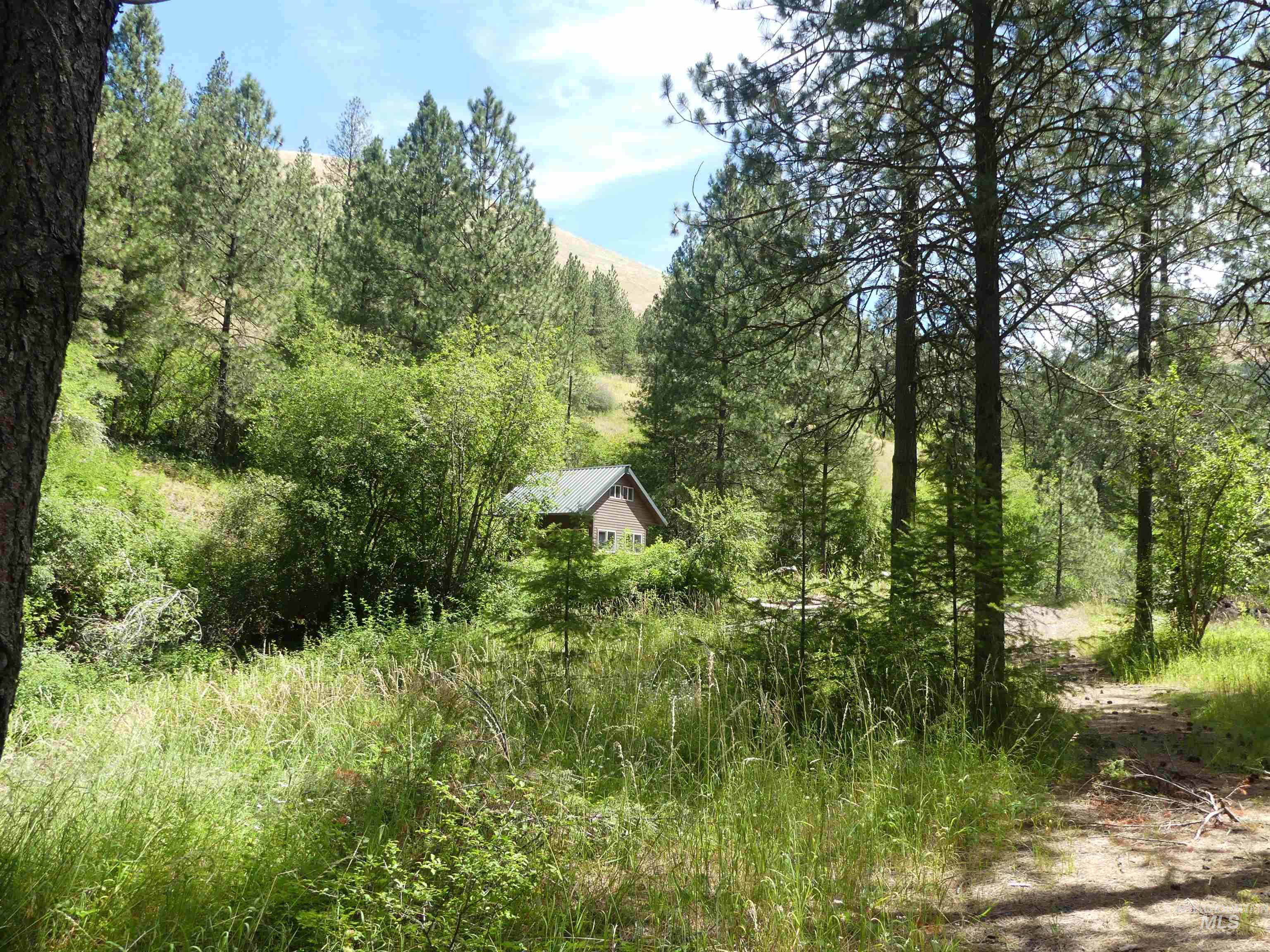 46601 Little Canyon Road Orofino, ID 83544 - Photo 30 of 46