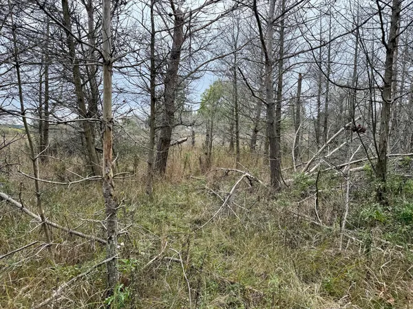$49,000 | 1 Greenway Street, Onekama, MI 49675
