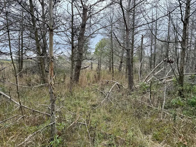 $49,000 | 1 Greenway Street, Onekama, MI 49675