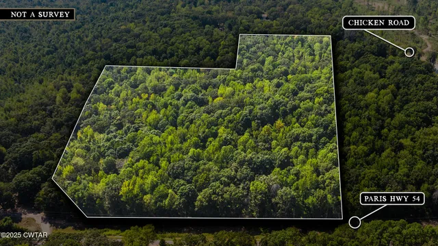 $109,000 | 2032 Paris Highway 54, Dresden, TN 38225