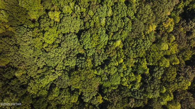 $109,000 | 2032 Paris Highway 54, Dresden, TN 38225