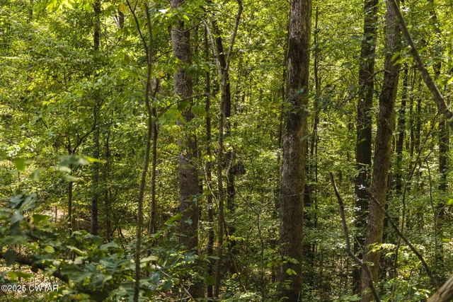 $109,000 | 2032 Paris Highway 54, Dresden, TN 38225