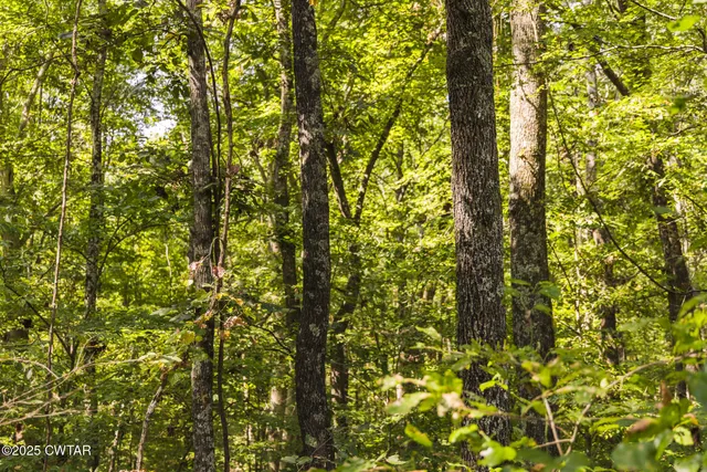 $109,000 | 2032 Paris Highway 54, Dresden, TN 38225