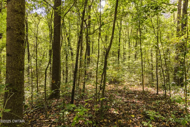 $109,000 | 2032 Paris Highway 54, Dresden, TN 38225