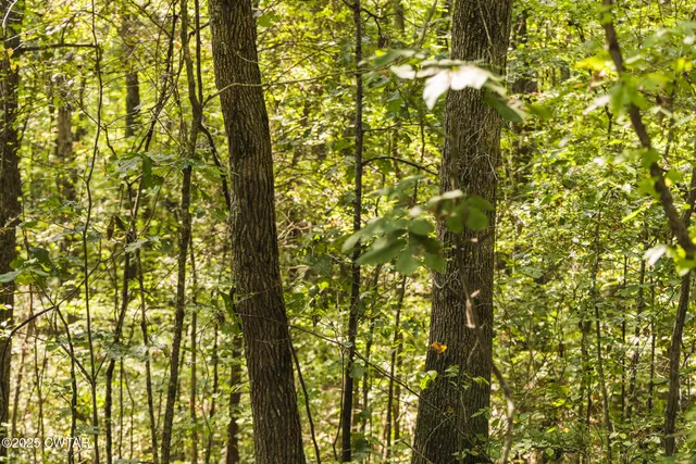 $109,000 | 2032 Paris Highway 54, Dresden, TN 38225