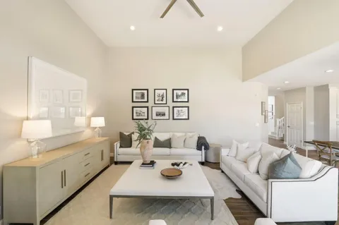 a living room with furniture and a potted plant