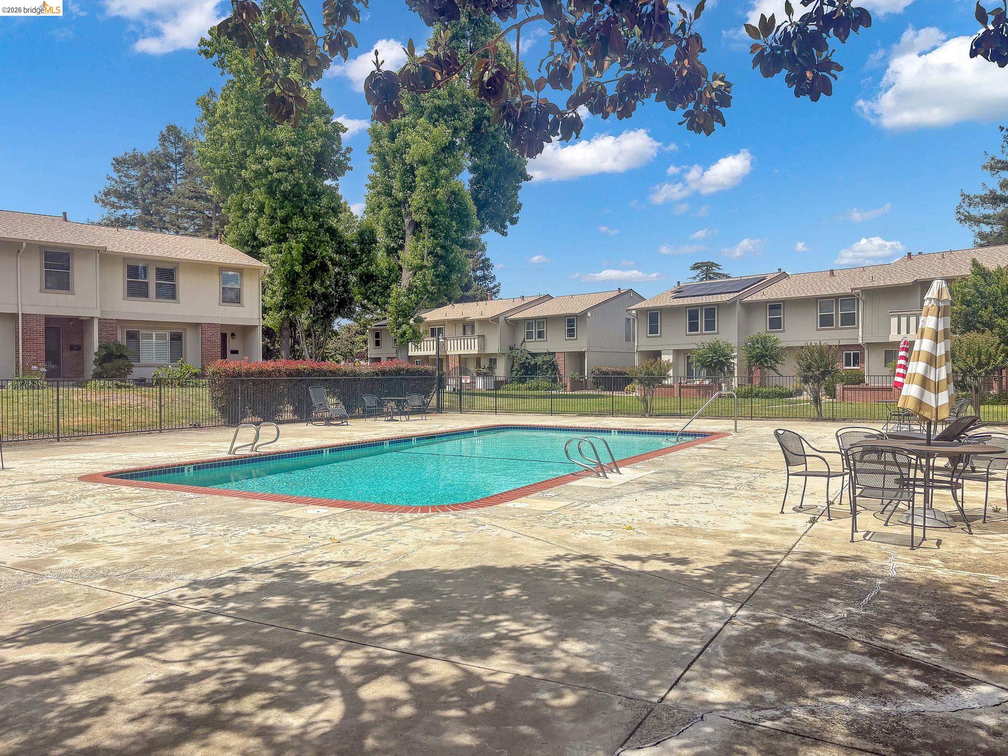 1808 Wildbrook Court, Unit D Concord, CA 94521 - Photo 47 of 47 a view of pool with lawn chairs and large trees