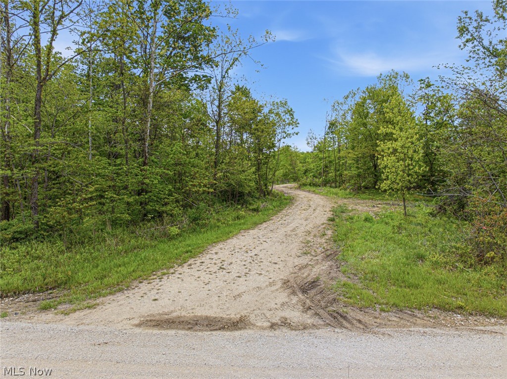 69-acres Newlon Road Malta, OH 43758 - Photo 4 of 20
