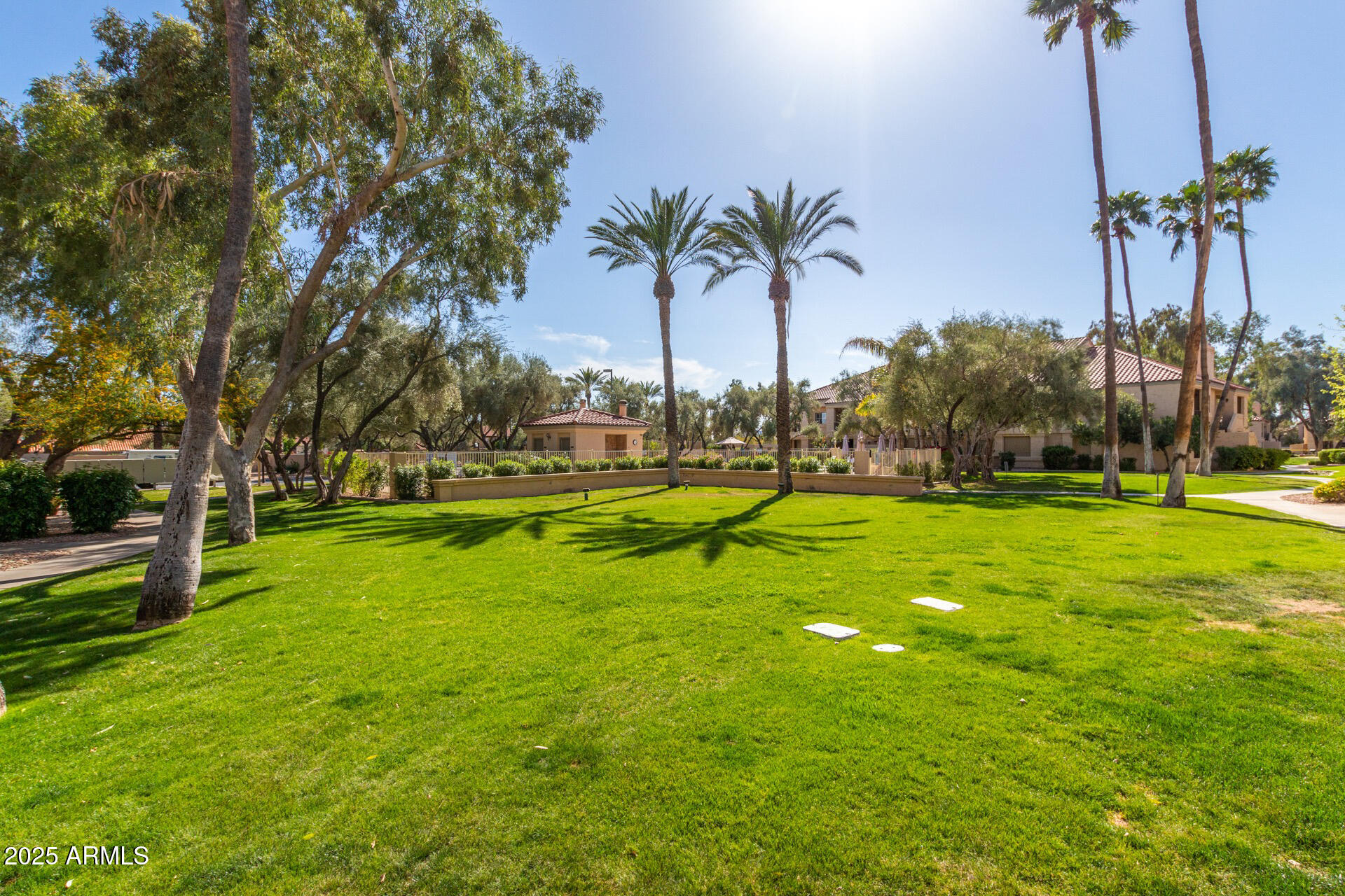 9711 East Mountain View Road, Unit 2524 Scottsdale, AZ 85258 - Photo 48 of 48 a view of a park with palm trees