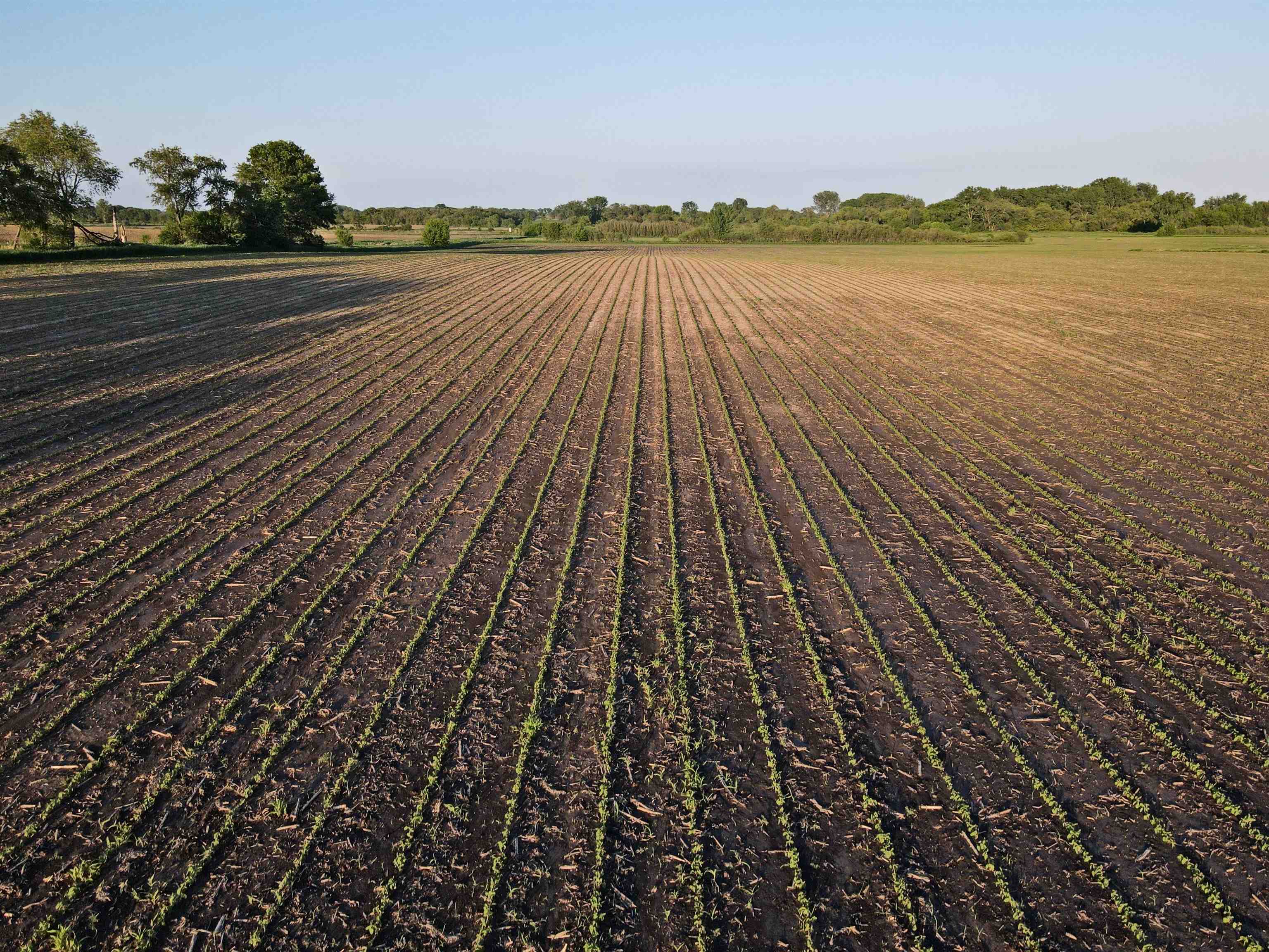 92.93 M/l Acres Twin Lane Sun Prairie, WI 53590 - Photo 11 of 22