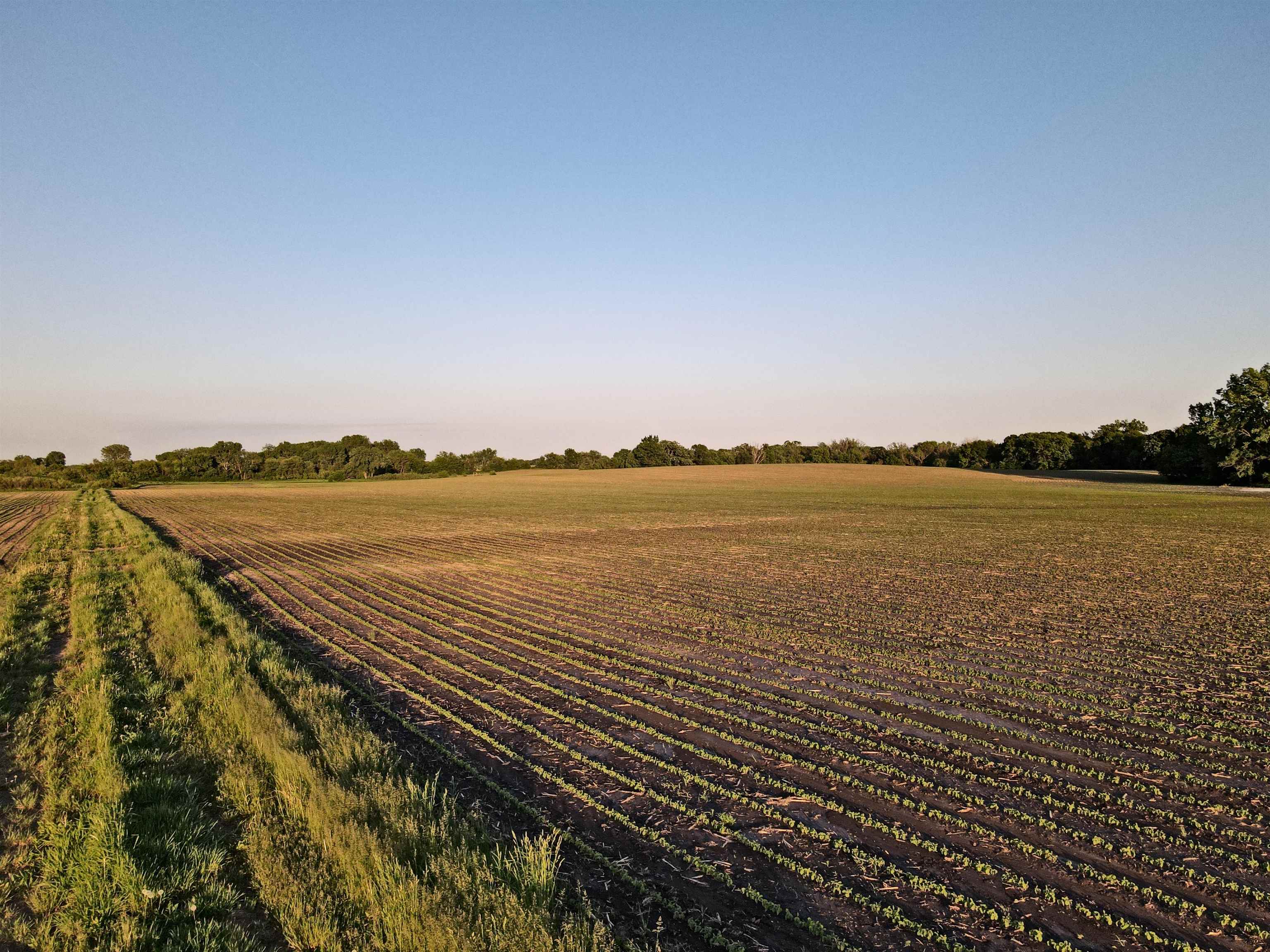 92.93 M/l Acres Twin Lane Sun Prairie, WI 53590 - Photo 8 of 22