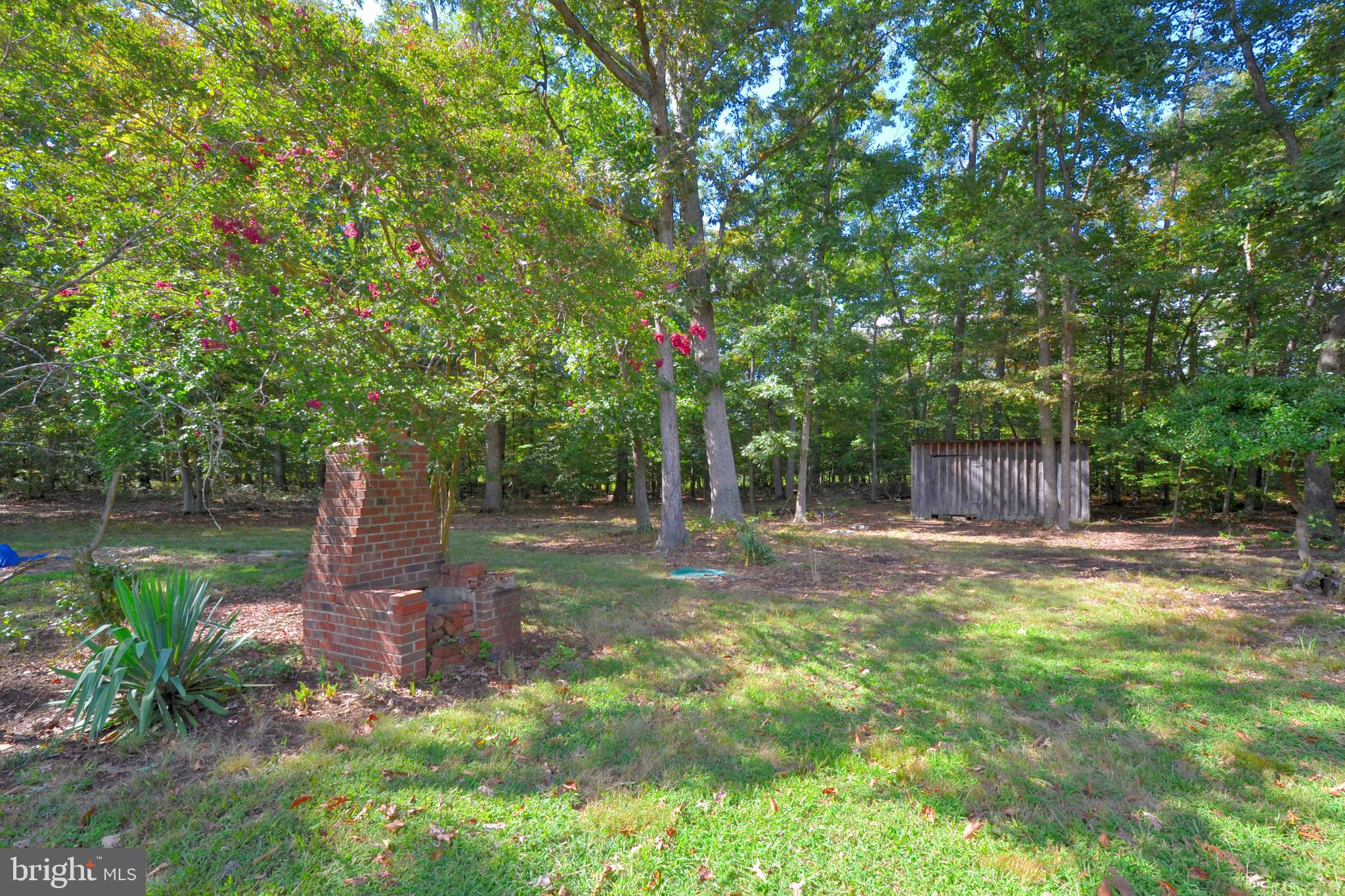 14909 Gardner Road Waldorf, MD 20601 - Photo 29 of 31 Backyard grill and shed.