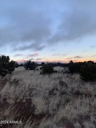 $8,000 | No Address No Address Road, Unit 1916, Concho, AZ 85924