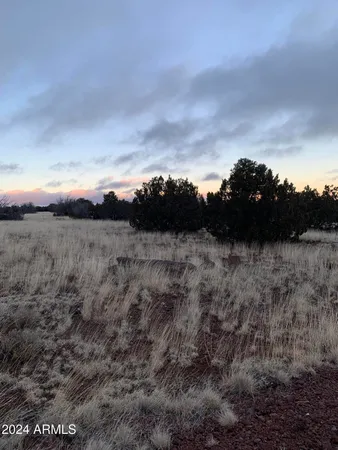 $8,000 | No Address No Address Road, Unit 1916, Concho, AZ 85924