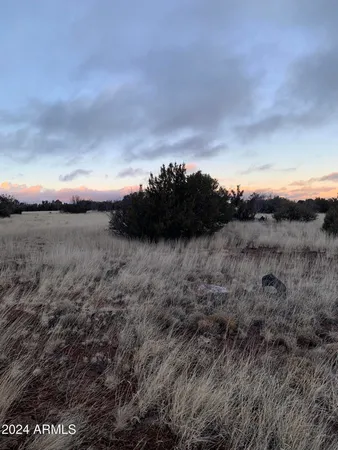 $8,000 | No Address No Address Road, Unit 1916, Concho, AZ 85924