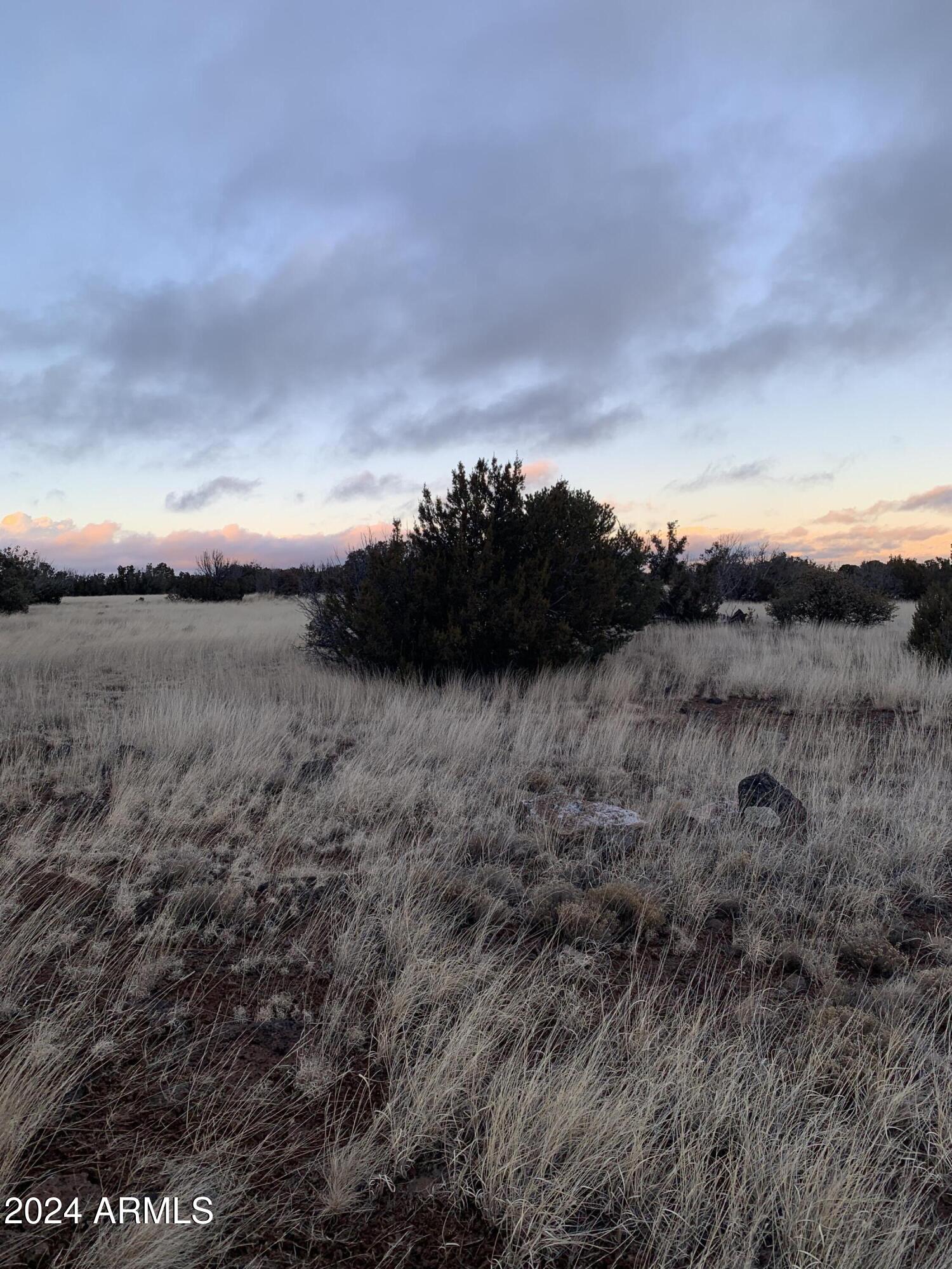 No Address No Address Road, Unit 1916 Concho, AZ 85924 - Photo 4 of 4 Lot 2 photo