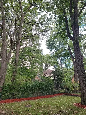 a view of a garden with trees