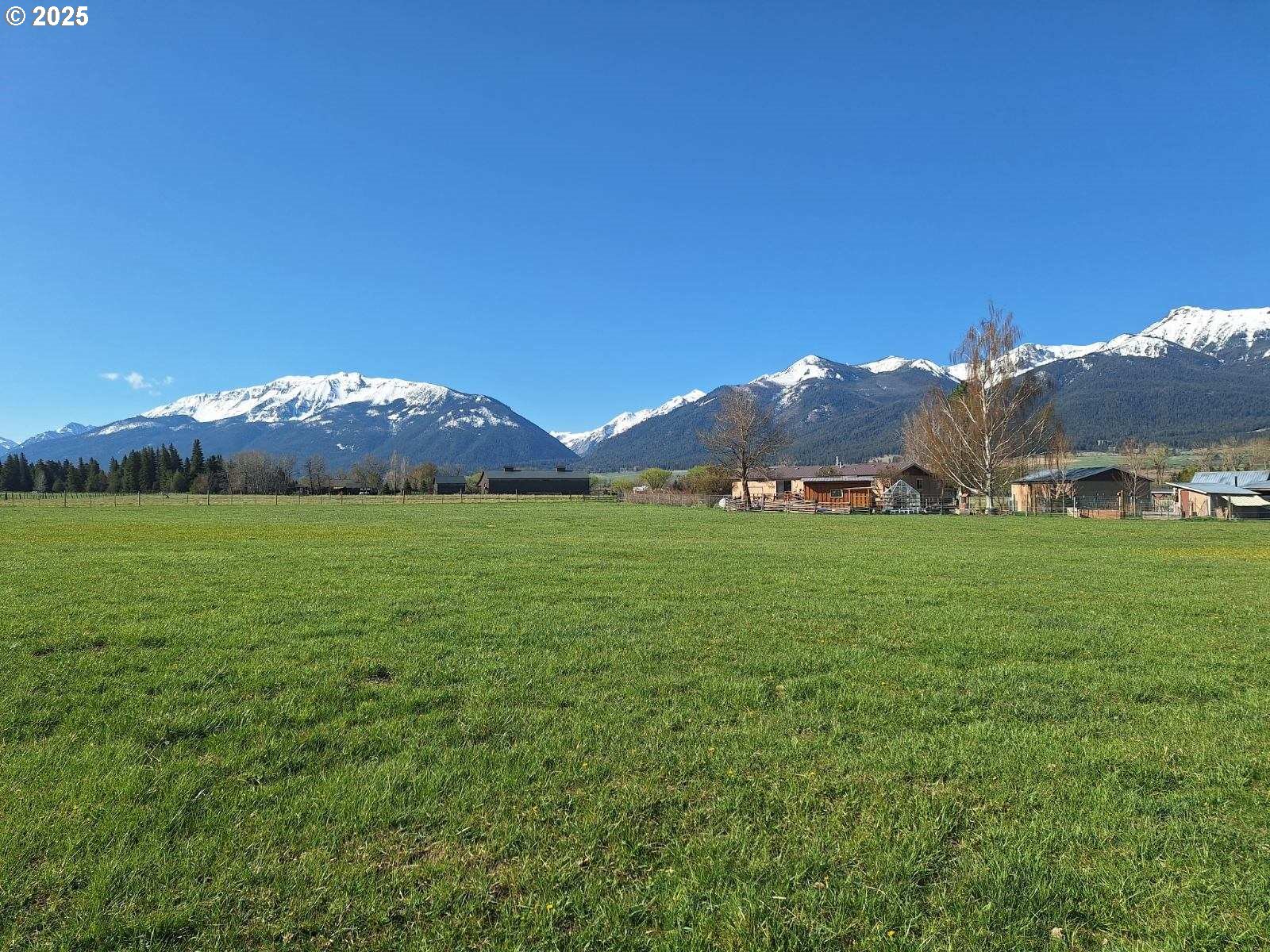 64929 Hurricane Creek Road Enterprise, OR 97828 - Photo 22 of 22 a view of yard with mountain and trees