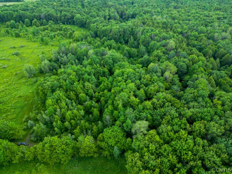 8031 Benson Road Floyd, NY 13354 - Photo 23 of 33