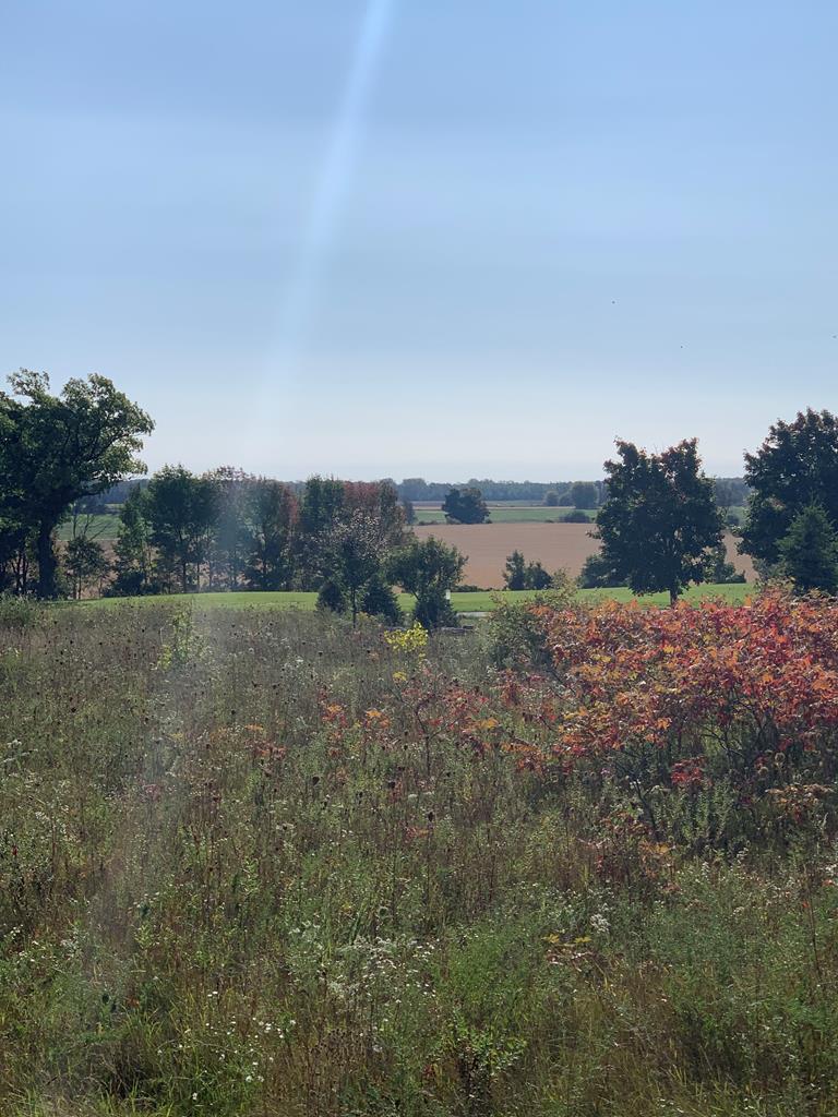 Lot 42 Ida Red Road Egg Harbor, WI 54209 - Photo 6 of 6 Gallery Image 6