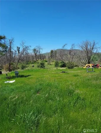 a view of a grassy field with trees in the background
