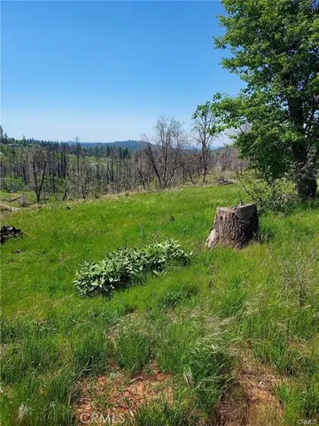 a view of a grassy field with trees