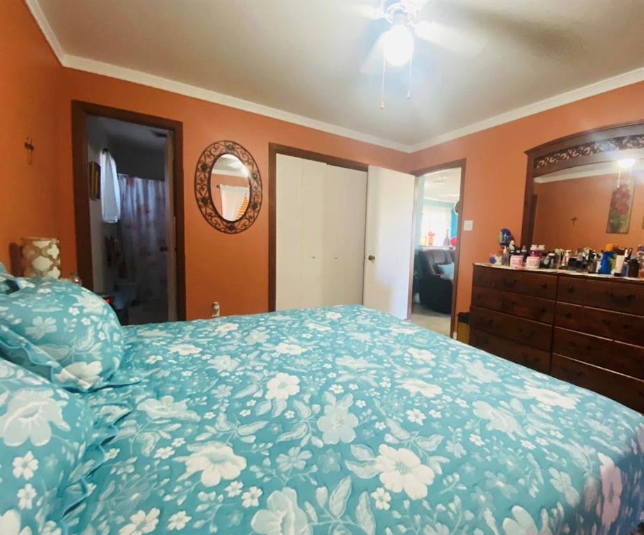504 Wilson Road Bellmead, TX 76705 - Photo 4 of 12 Bedroom featuring warm-toned walls, white crown molding, and a ceiling fan with integrated lighting