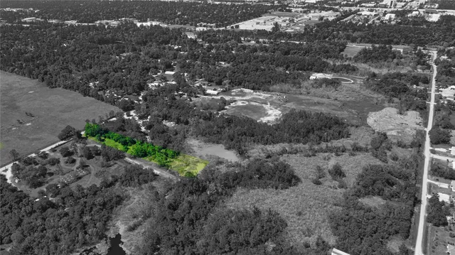 a view of a dry yard with lots of trees
