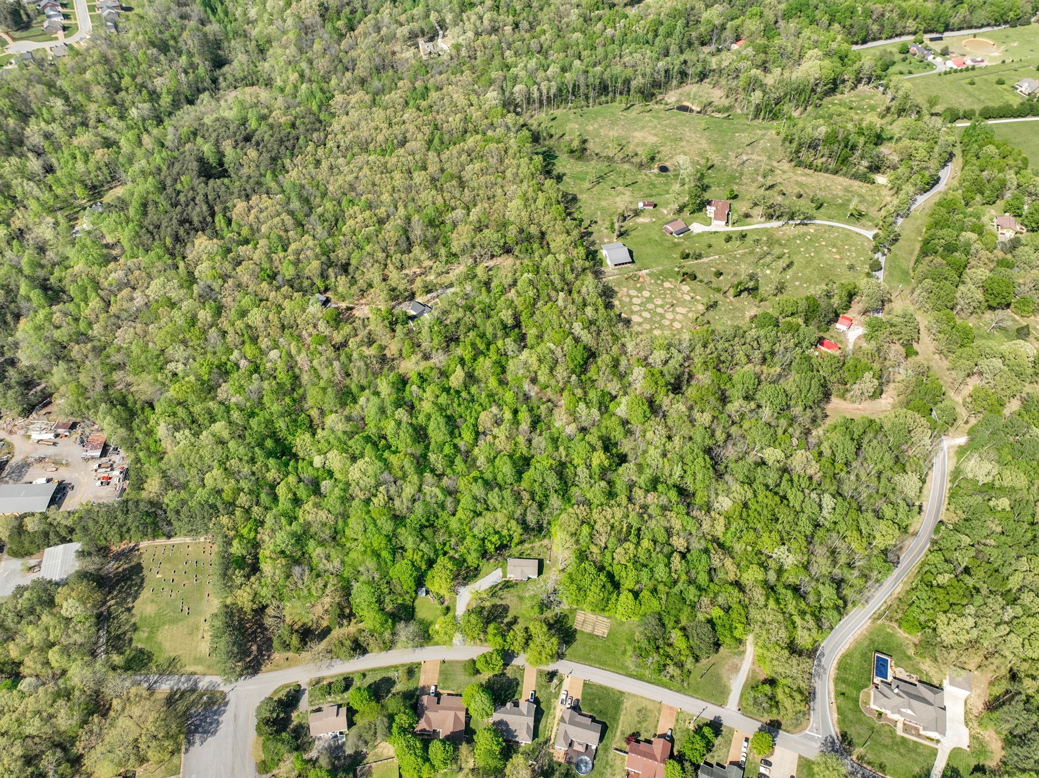 7136 New Hope Road Fairview, TN 37062 - Photo 67 of 70 a view of a big yard with plants and large trees