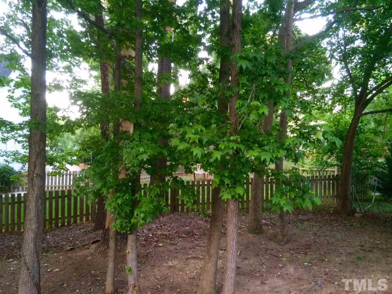 2816 West Jameson Road Raleigh, NC 27604 - Photo 17 of 17
