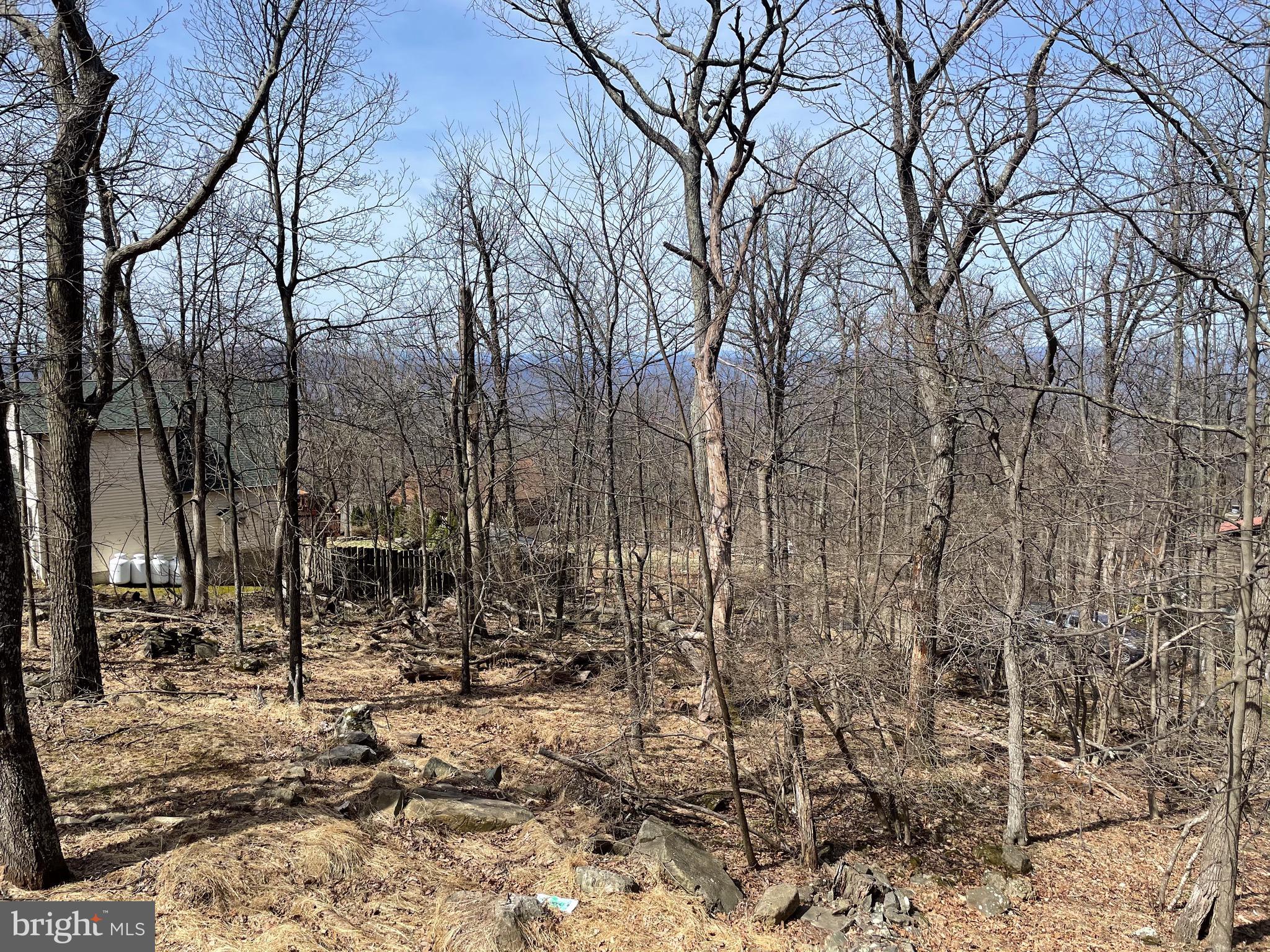 91 Mountain Top Road Front Royal, VA 22630 - Photo 33 of 35 Surrounding trees