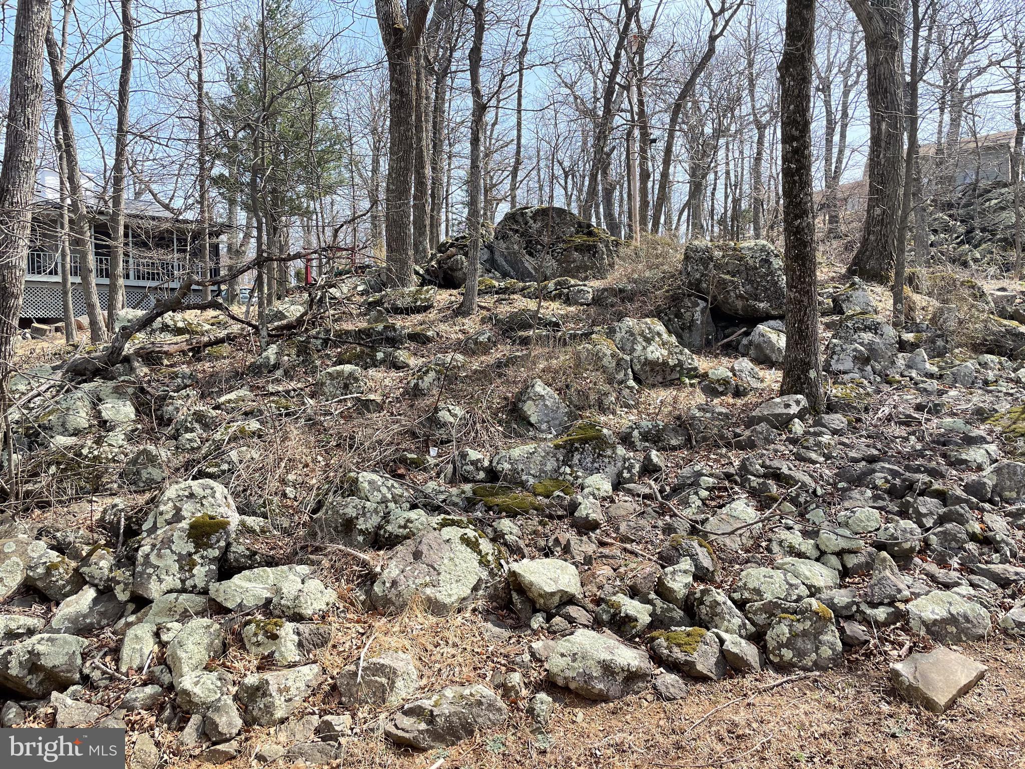 91 Mountain Top Road Front Royal, VA 22630 - Photo 34 of 35 Natural landscaping