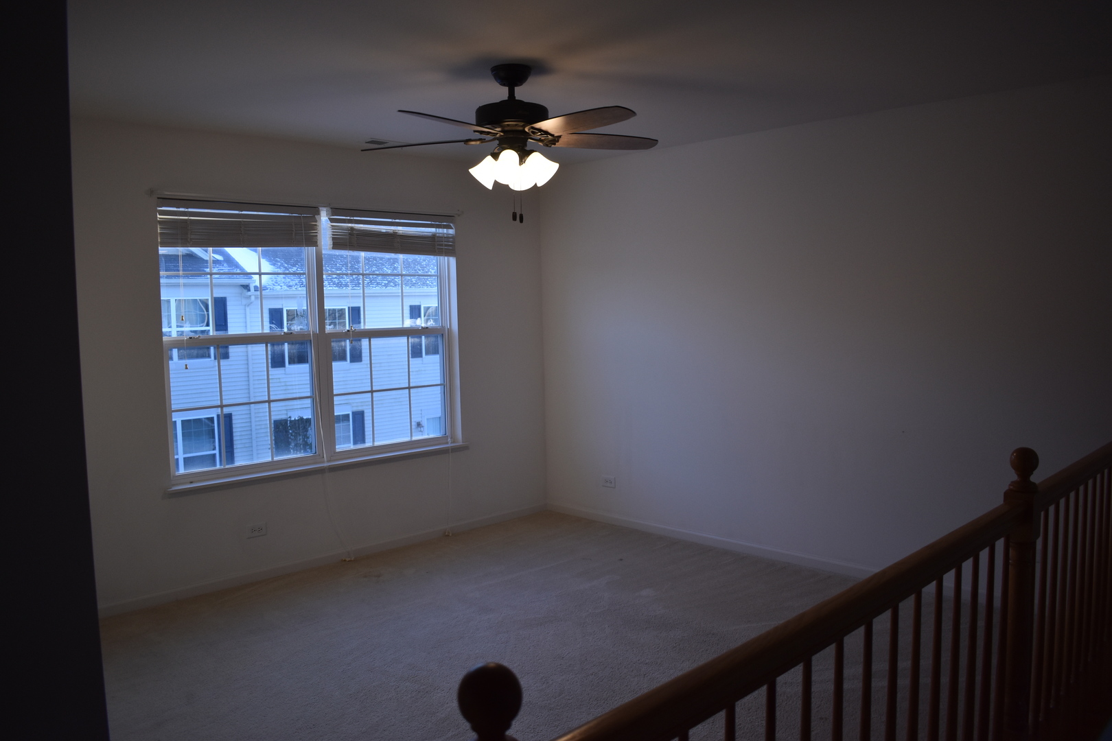 732 South Jade Lane Round Lake, IL 60073 - Photo 13 of 17