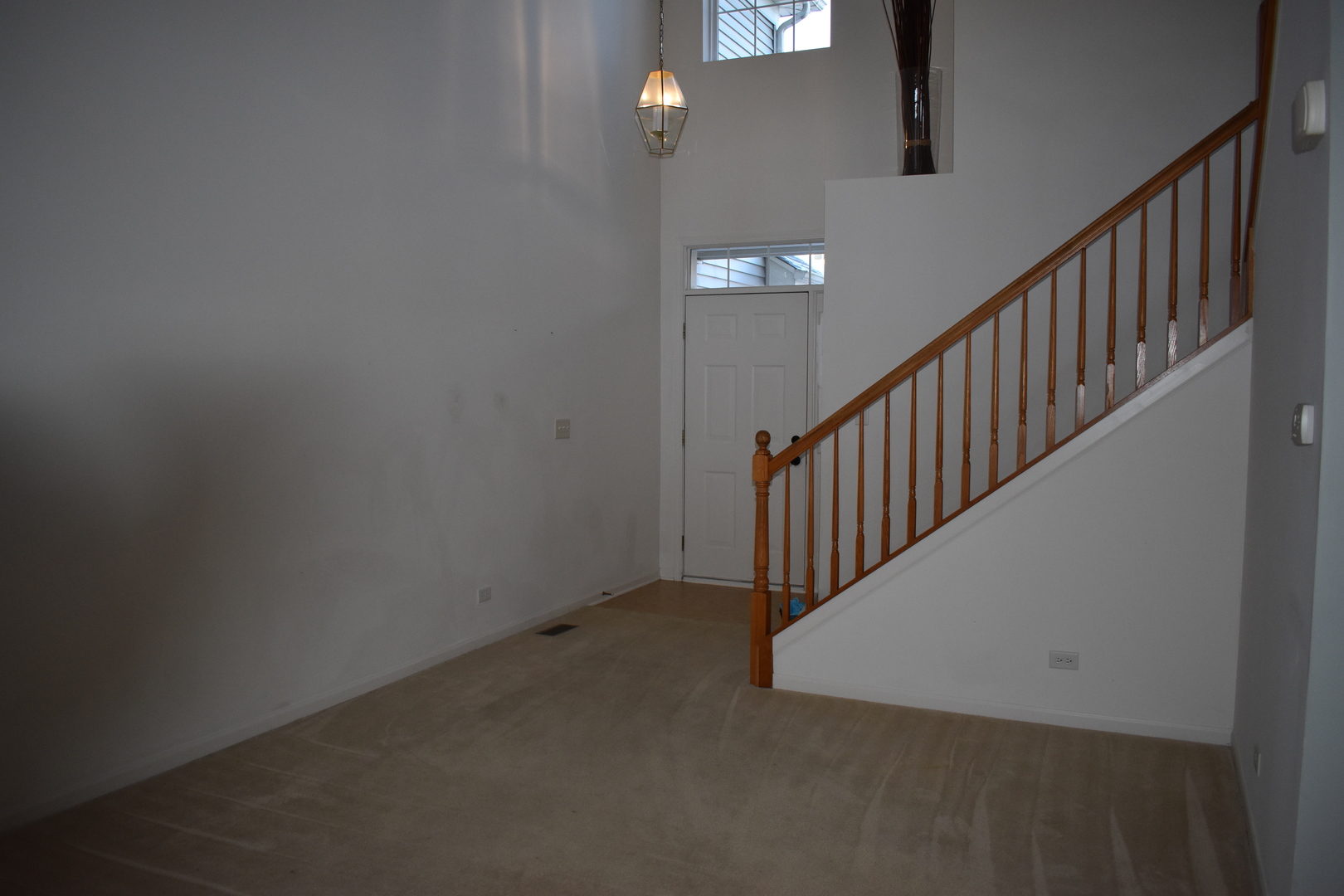 732 South Jade Lane Round Lake, IL 60073 - Photo 4 of 17