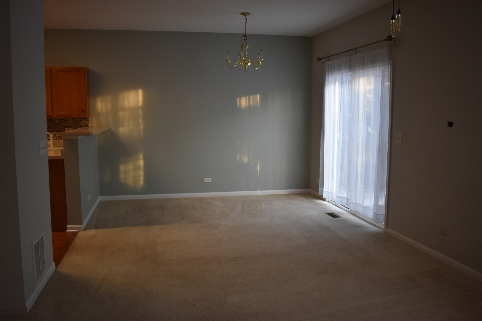 732 South Jade Lane Round Lake, IL 60073 - Photo 6 of 17