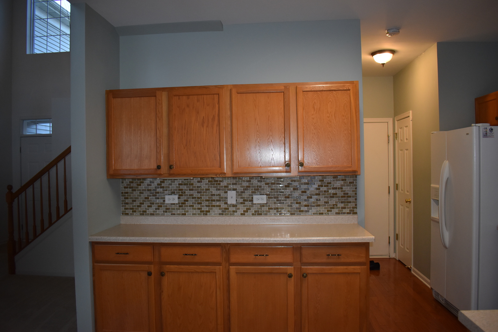 732 South Jade Lane Round Lake, IL 60073 - Photo 7 of 17