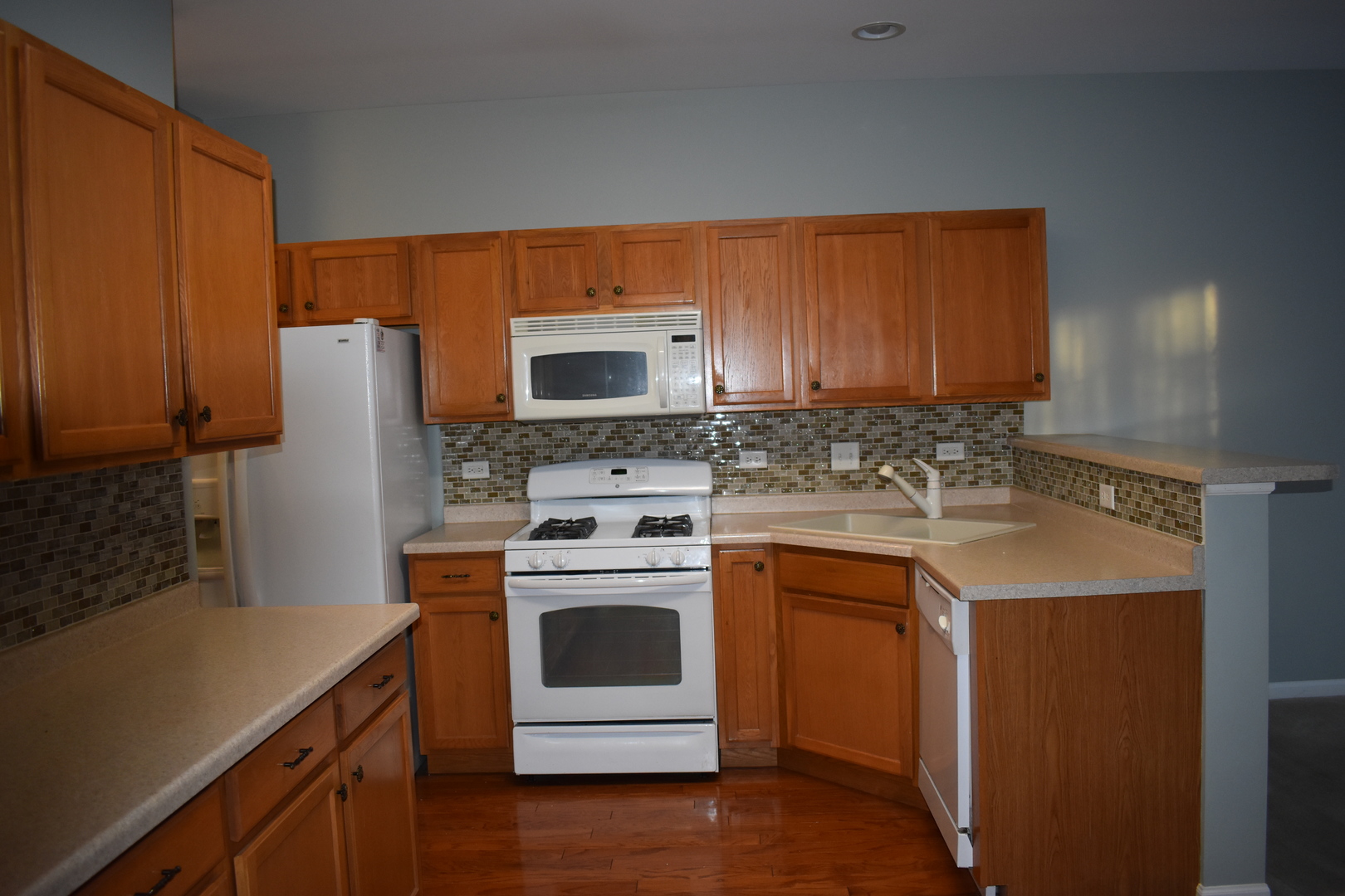 732 South Jade Lane Round Lake, IL 60073 - Photo 8 of 17