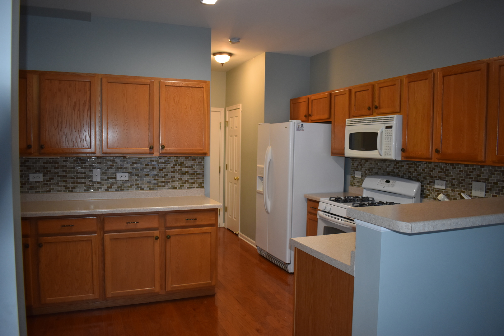 732 South Jade Lane Round Lake, IL 60073 - Photo 9 of 17