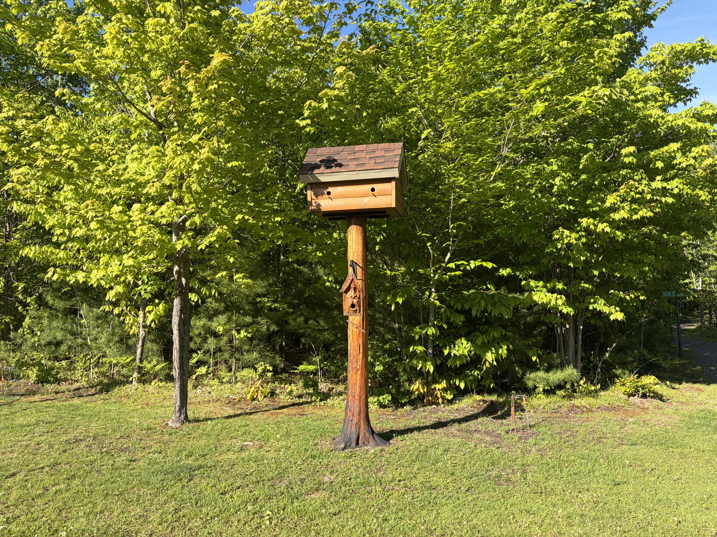 186 Town Line Road Cadyville, NY 12918 - Photo 46 of 60 Back Yard