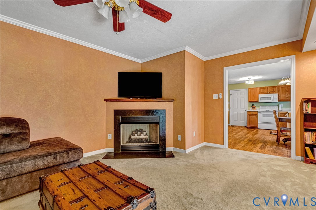 7135 Timber Ridge Road Quinton, VA 23141 - Photo 17 of 48 Gallery Image 17